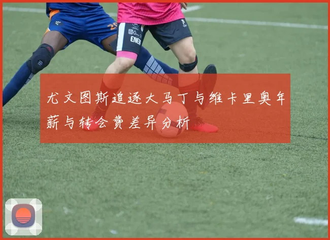 尤文图斯追逐大马丁与维卡里奥年薪与转会费差异分析