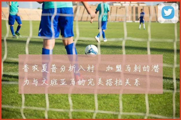 香农夏普分析八村塁加盟马刺的潜力与文班亚马的完美搭档关系